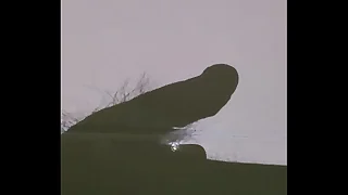 12246 cum porn videos